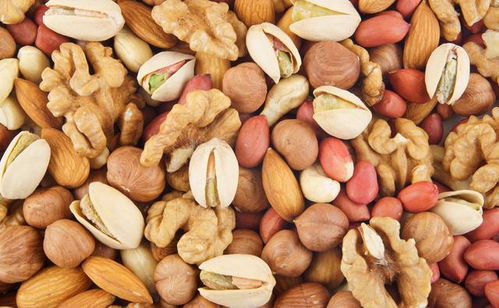 老年人生活不必過度節儉，7種高蛋白食物值得投入，健康勝過節省