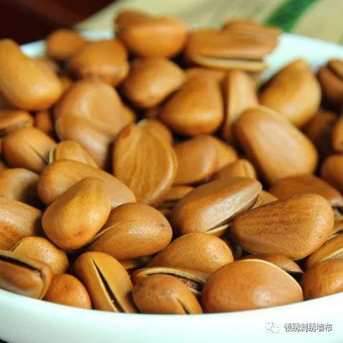 營養與成就的交匯點 論飲食與事業的緊密結合——以干果銷售為例