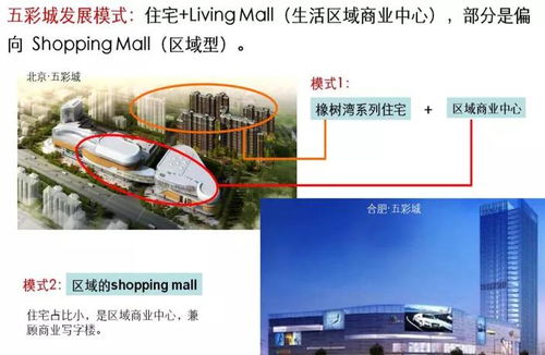 商業地產企業產品線管控專題研究 戰略、架構與管理的協同之道