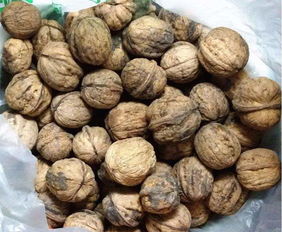 健康警報 這些堅果與干果，請謹慎食用